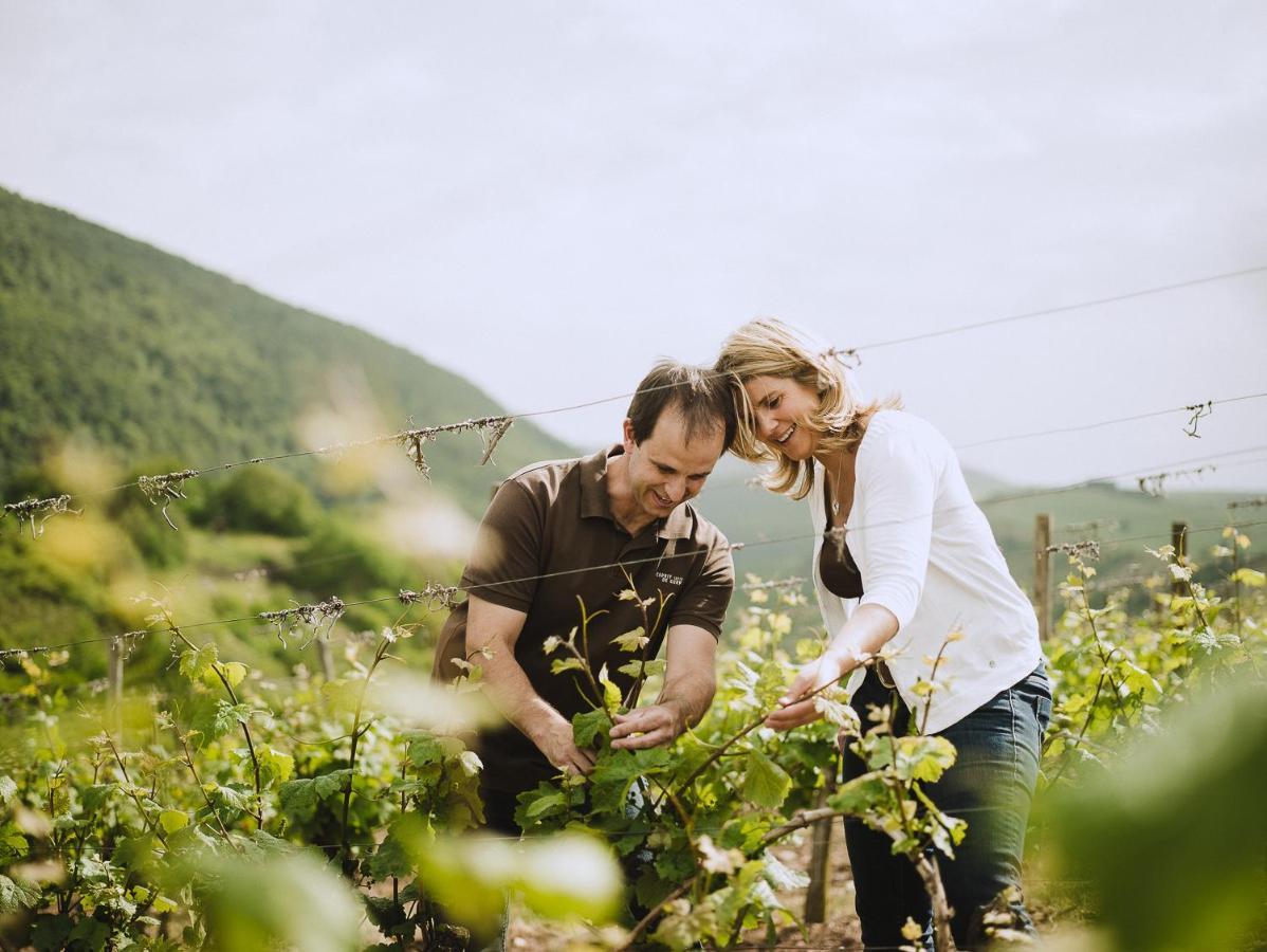 ホテル Weingut Und Gastehaus Holger Alt Monzingen エクステリア 写真