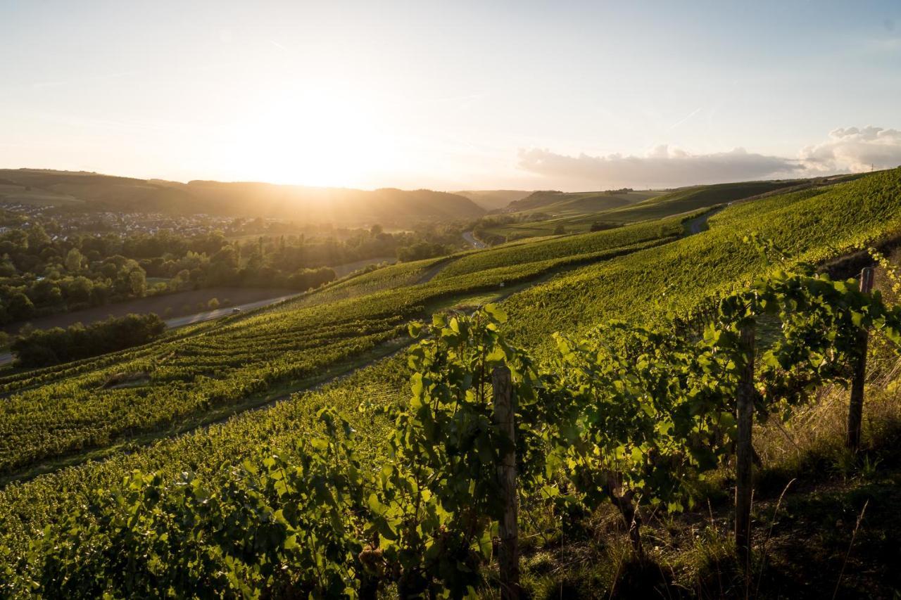 ホテル Weingut Und Gastehaus Holger Alt Monzingen エクステリア 写真