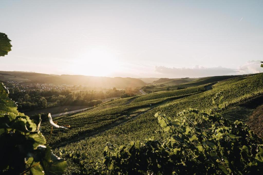 Weingut Und Gaestehaus Holger Alt Monzingen エクステリア 写真