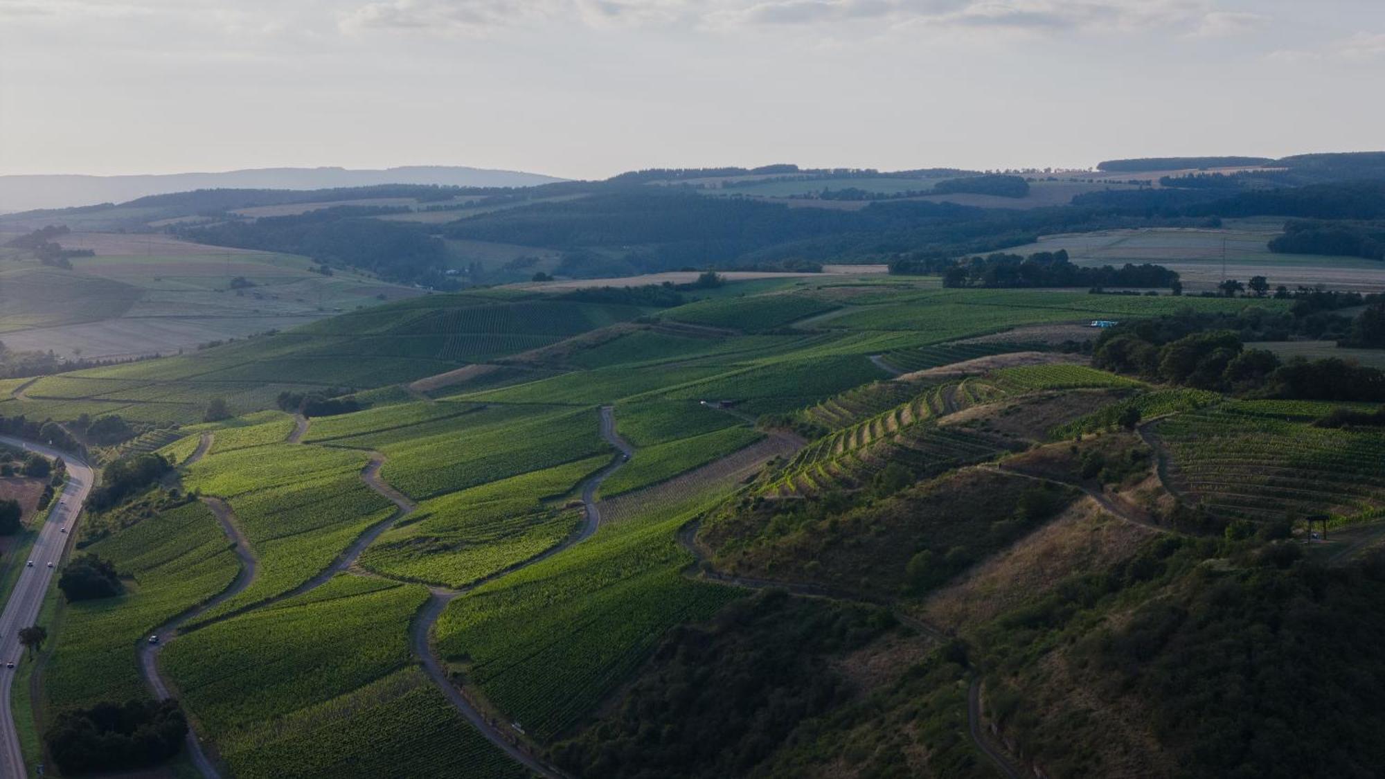 Weingut Und Gaestehaus Holger Alt Monzingen エクステリア 写真
